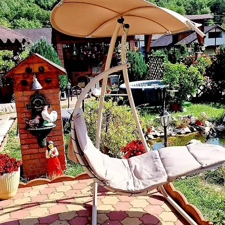 N&n Palace Guest house Bistrita Bargaului