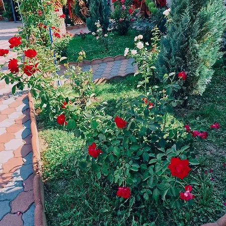N&n Palace *